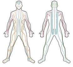 MERIDIANS -THE ENERGY CHANNELS OF THE BODY